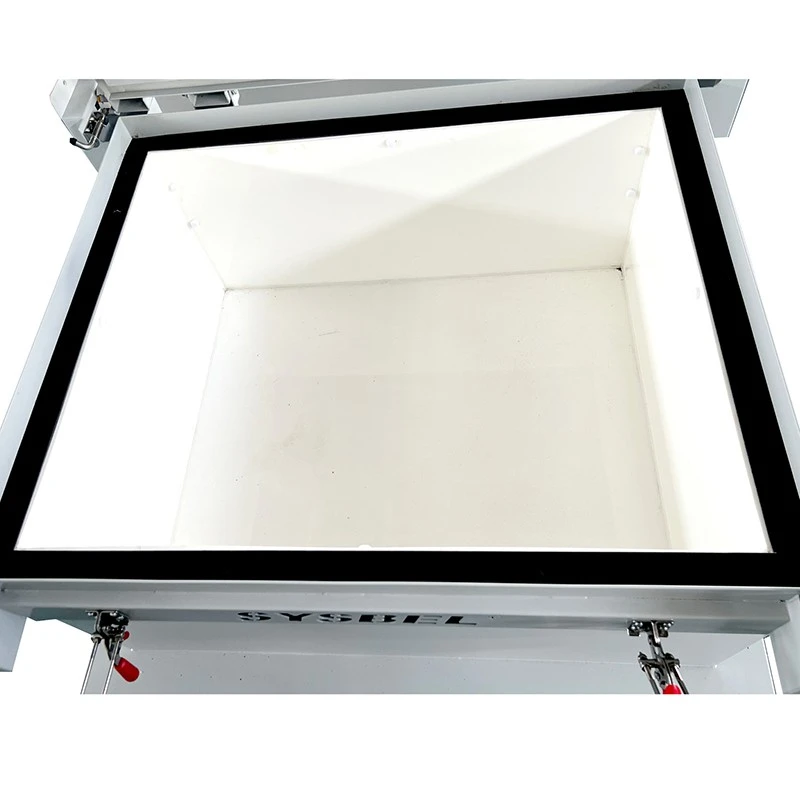 Sysbel Fire-resistant And Corrosion- Resistant Version Lithium Battery Transport Box WA990120F price